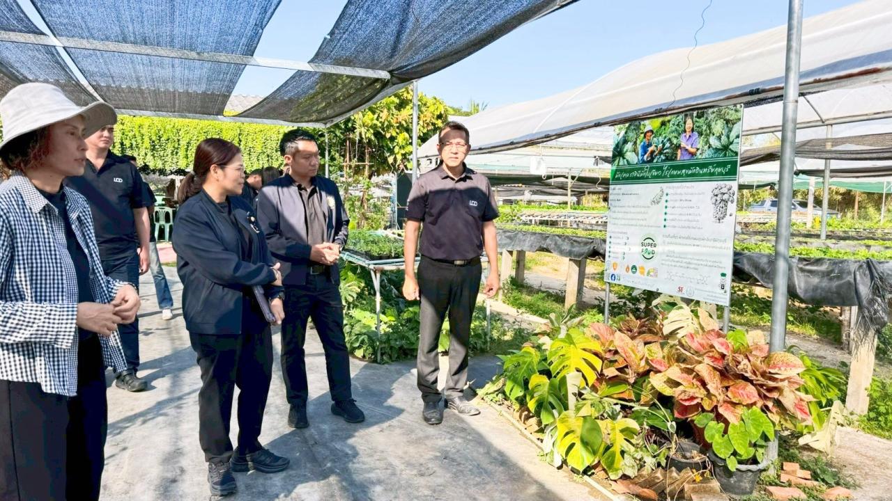 ภาพประกอบที่ 3