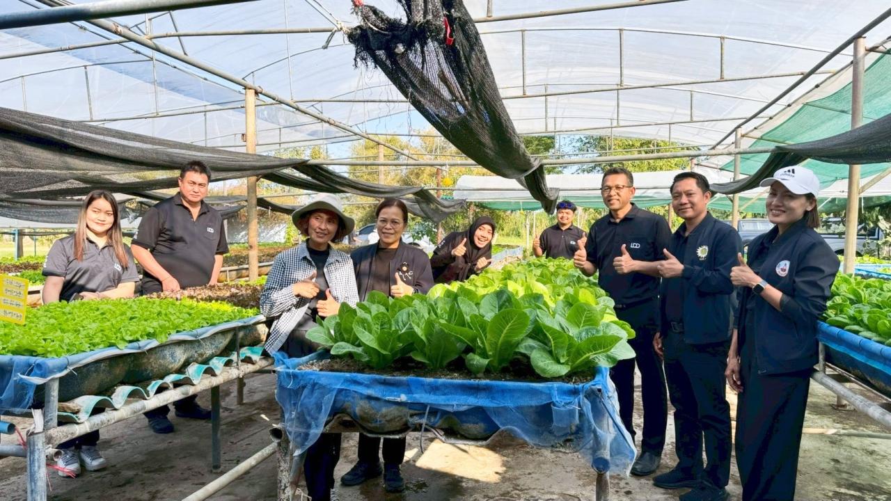 ภาพประกอบที่ 4