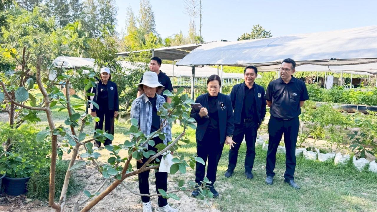 ภาพประกอบที่ 7