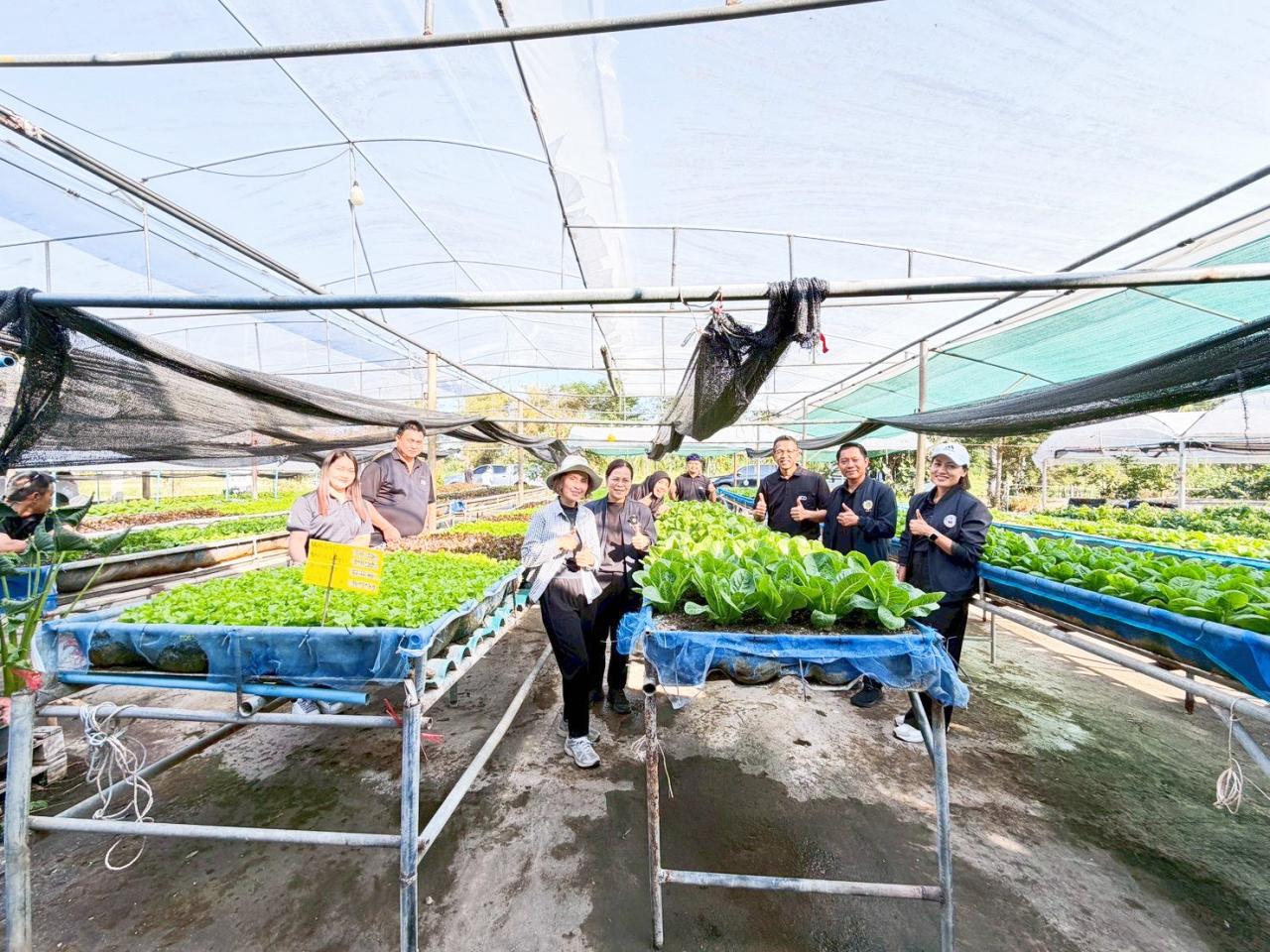 ภาพประกอบที่ 9