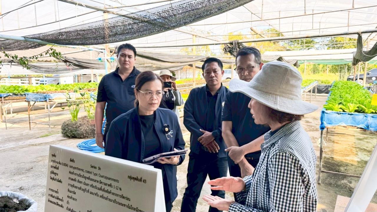 ภาพประกอบที่ 11