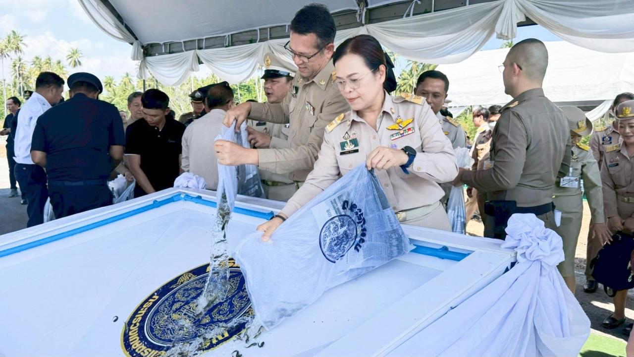 ภาพประกอบที่ 5