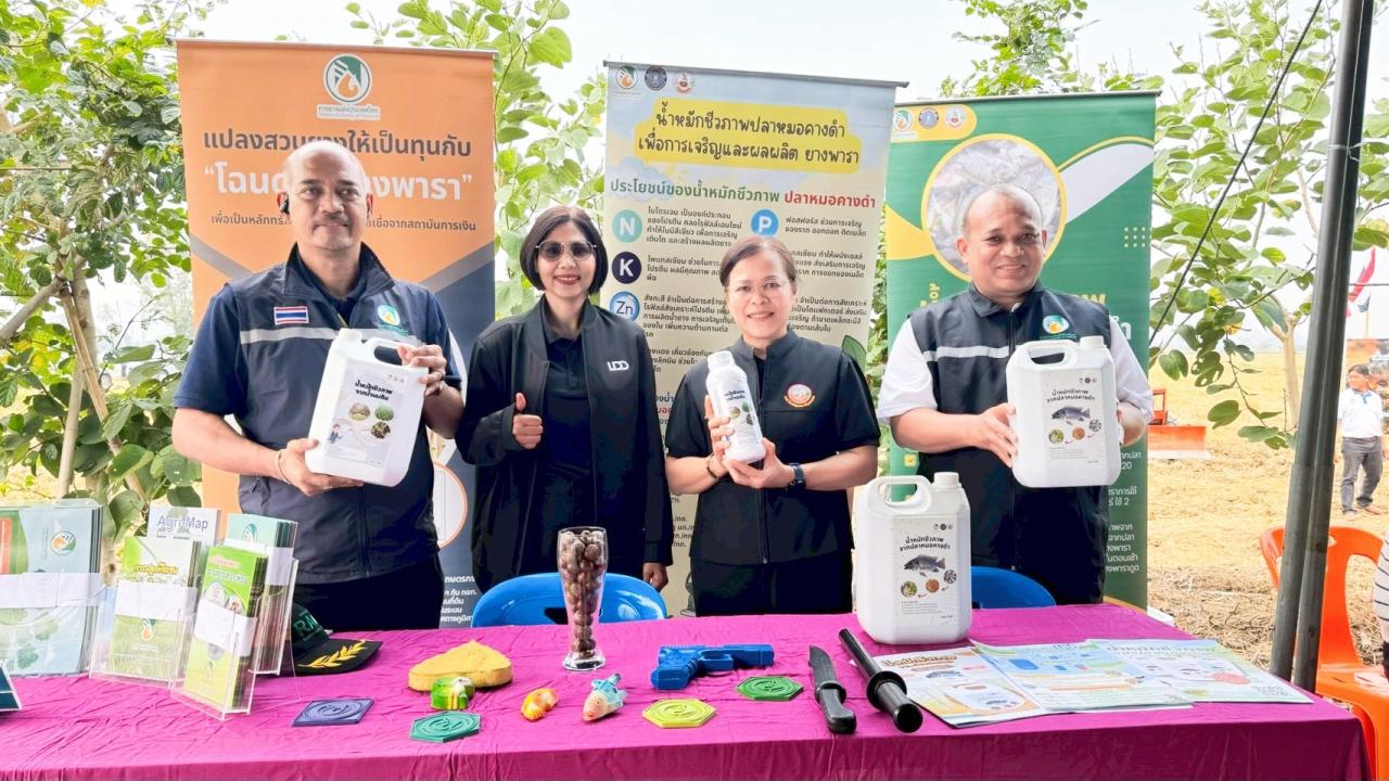 ภาพประกอบที่ 7