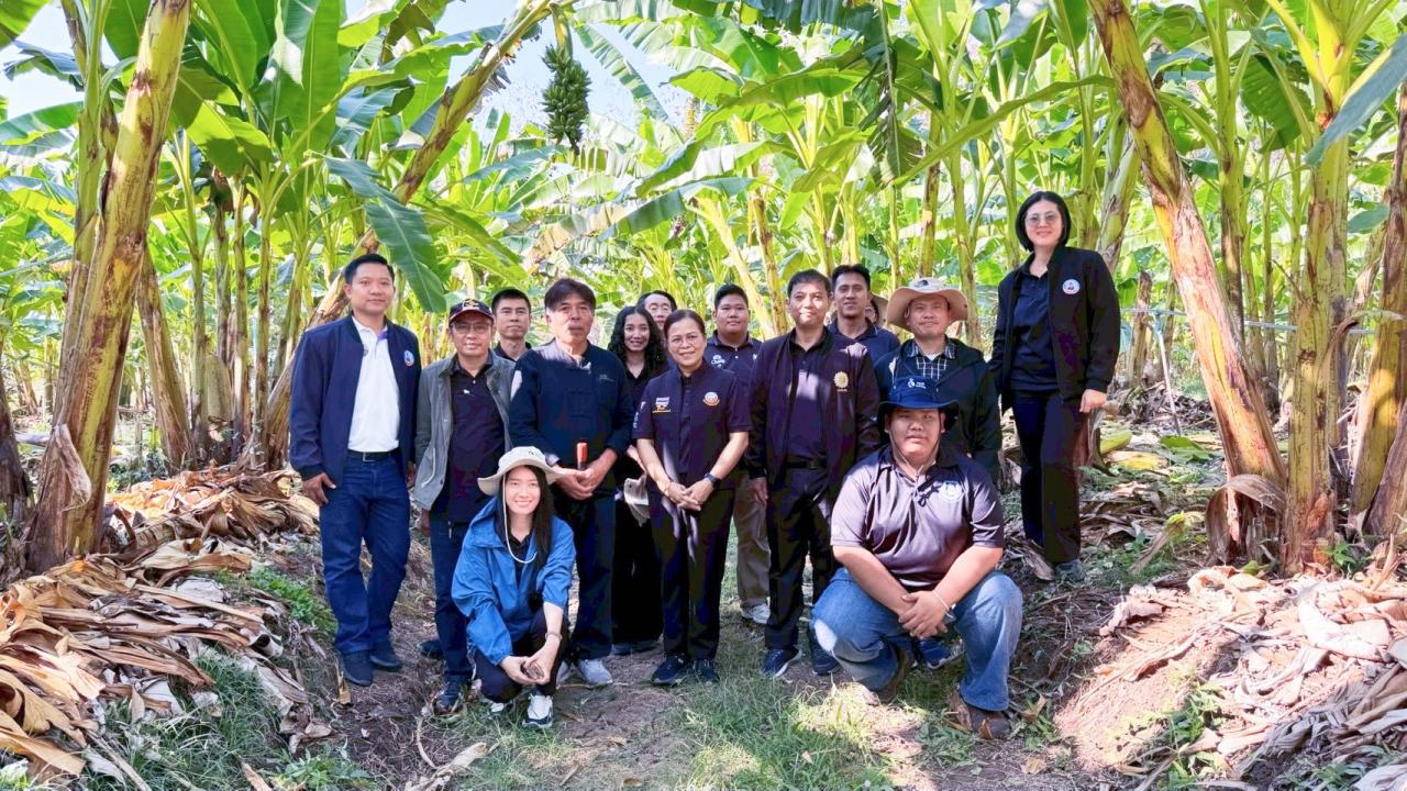 ภาพประกอบที่ 6