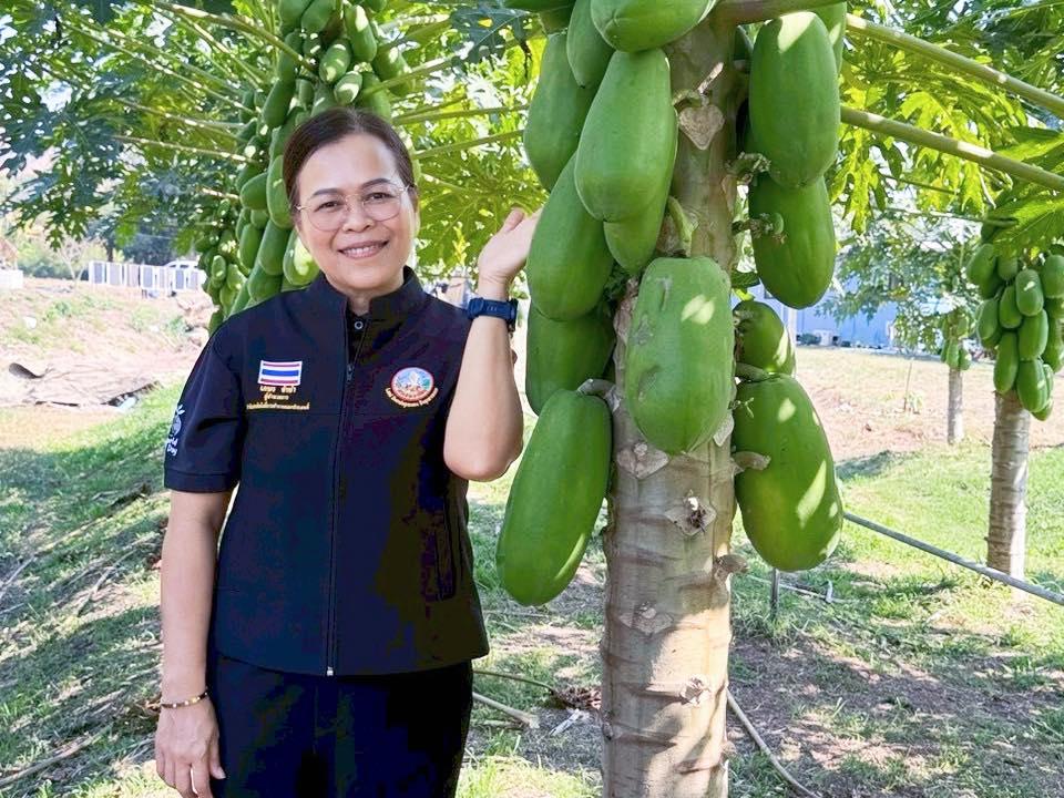 ภาพประกอบที่ 9