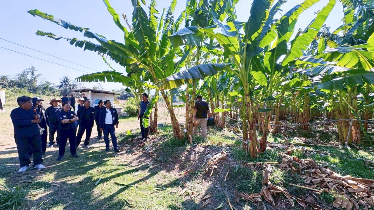 ภาพประกอบที่ 11