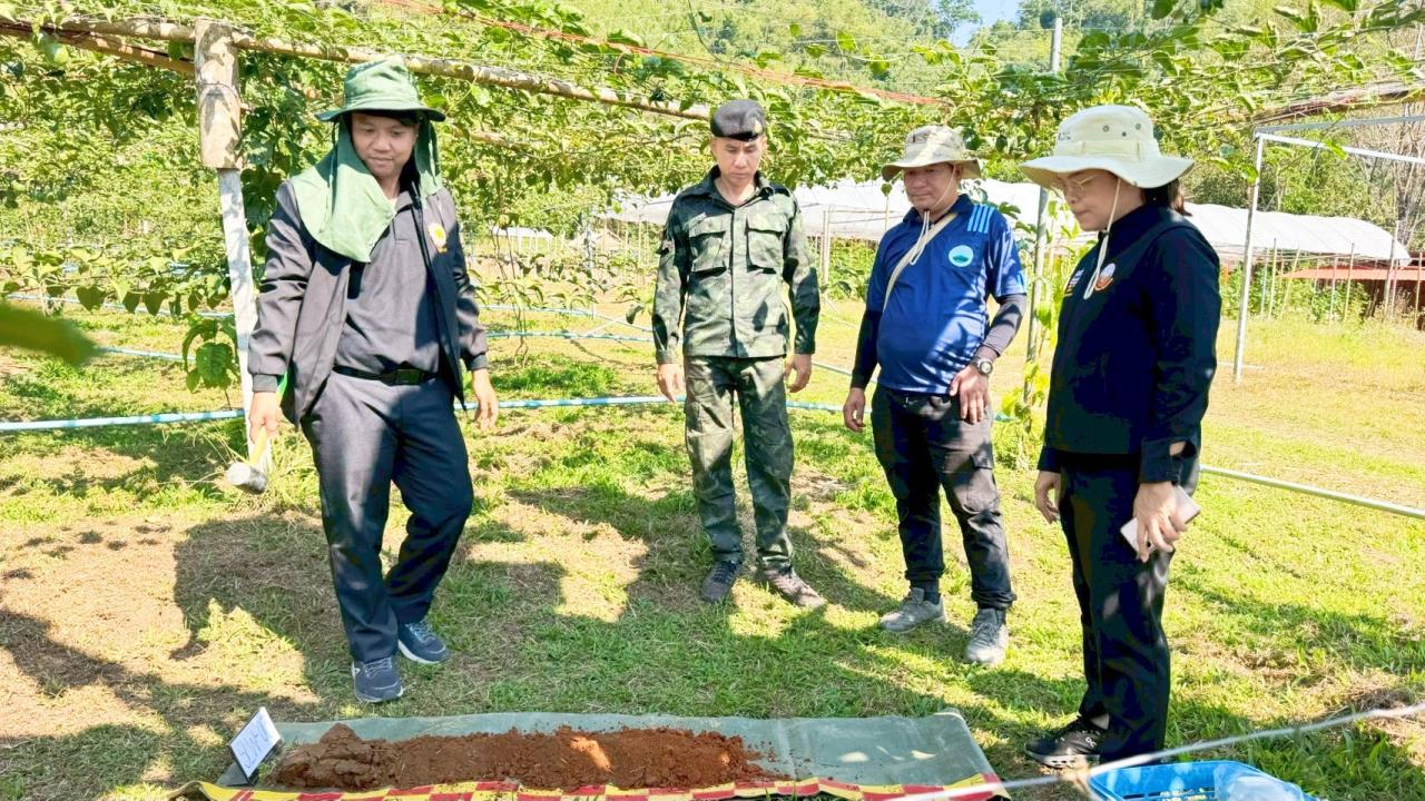 ภาพประกอบที่ 3