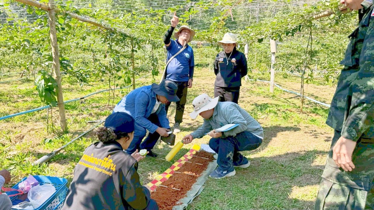 ภาพประกอบที่ 4