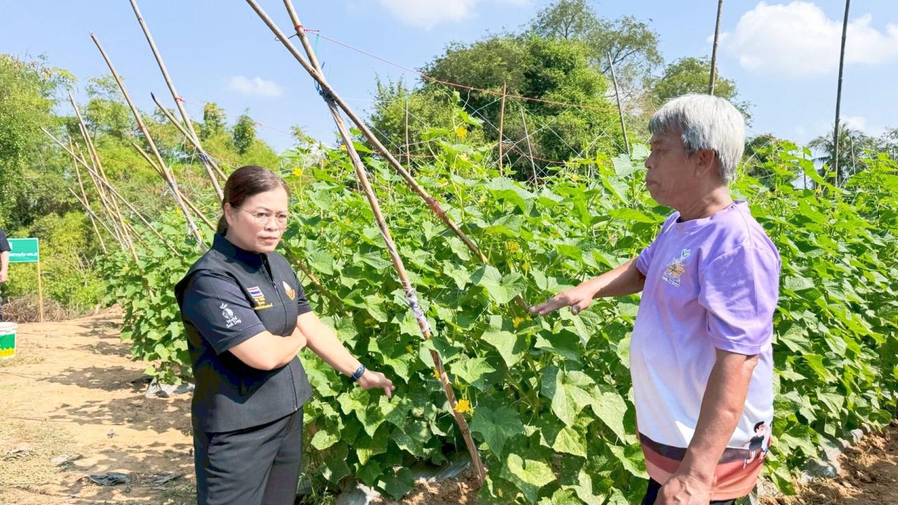 ภาพประกอบที่ 7