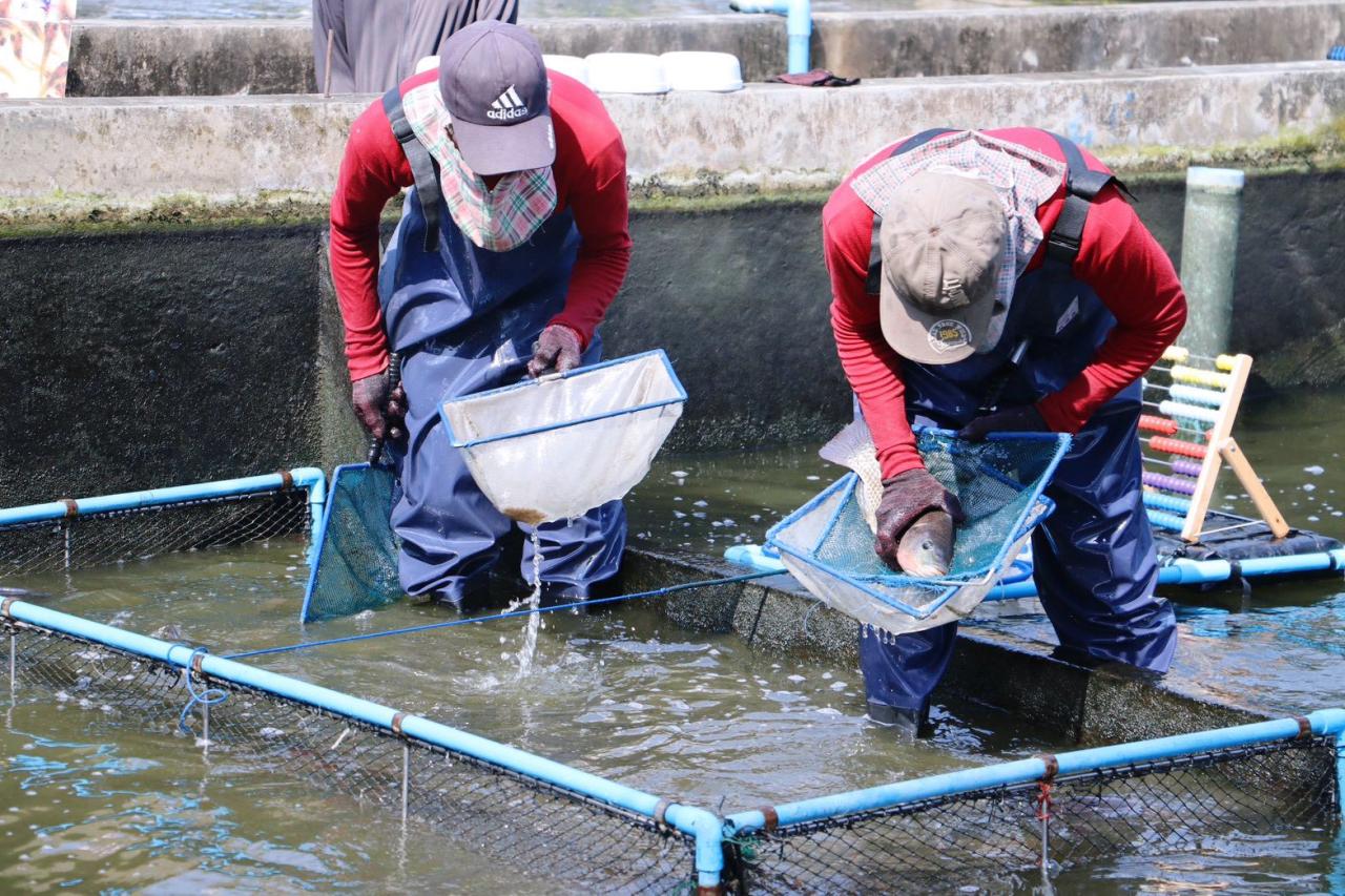 ภาพประกอบที่ 8