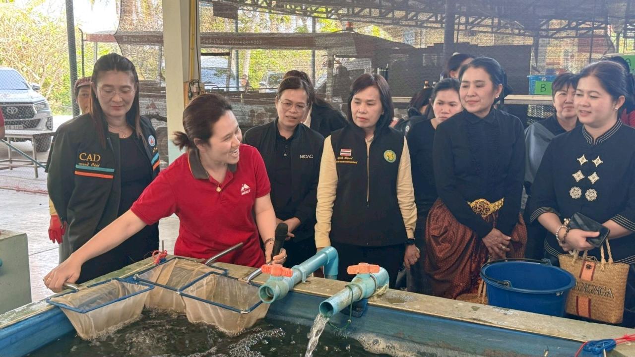 ภาพประกอบที่ 9