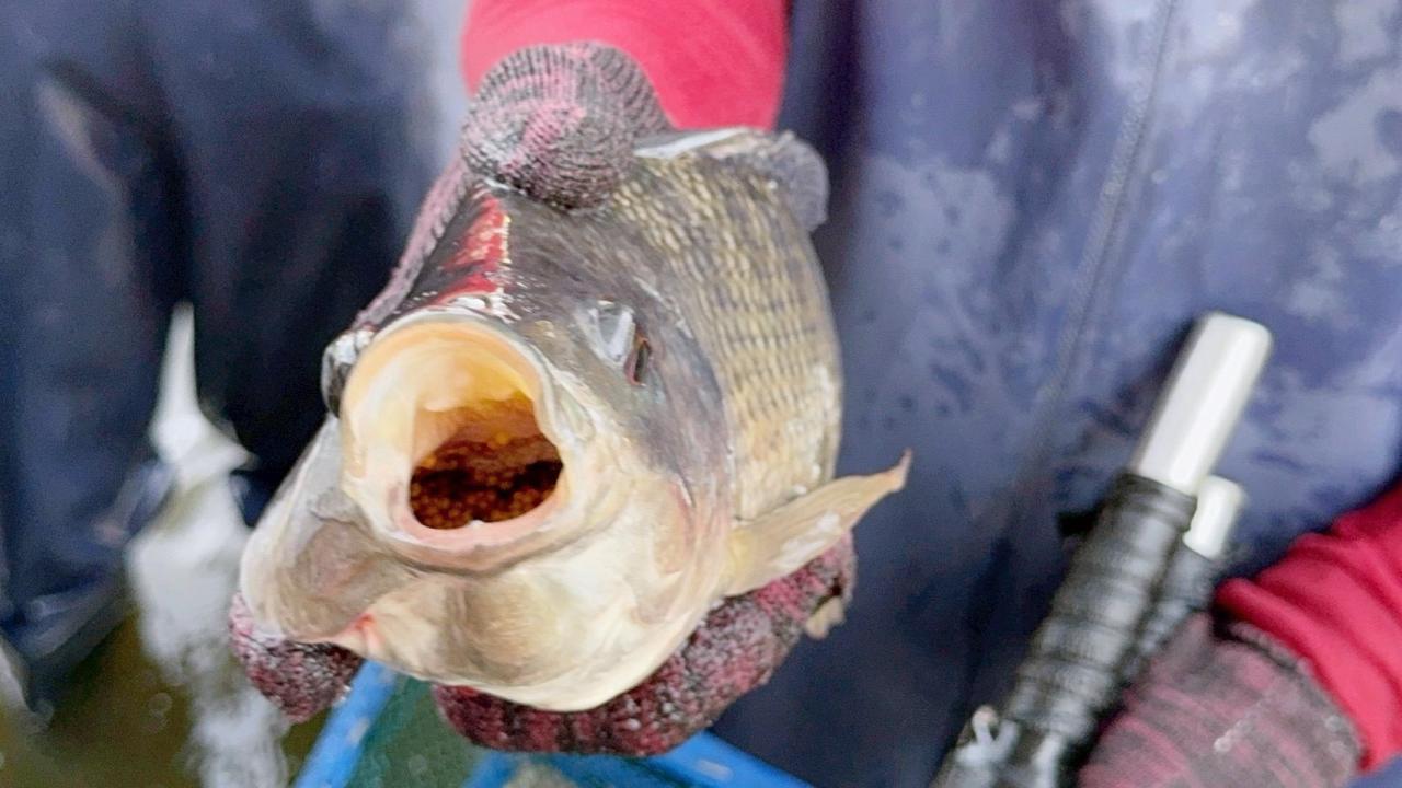 ภาพประกอบที่ 10