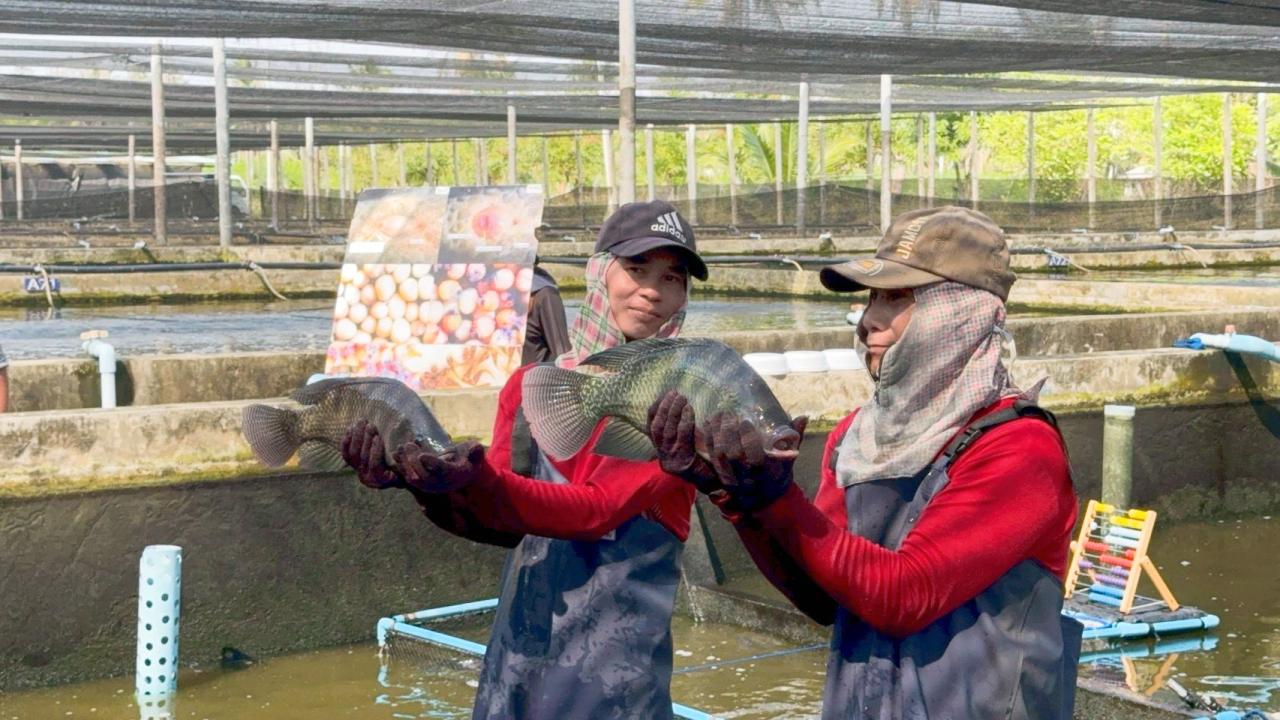 ภาพประกอบที่ 12