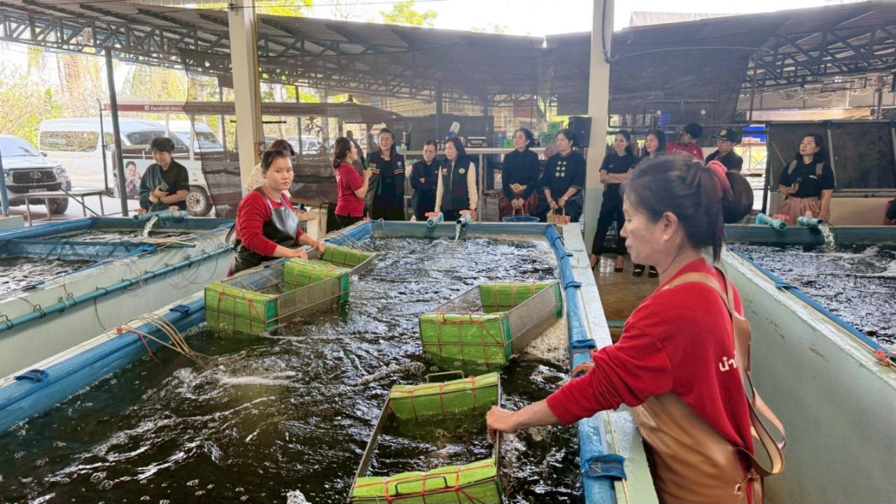 ภาพประกอบที่ 13