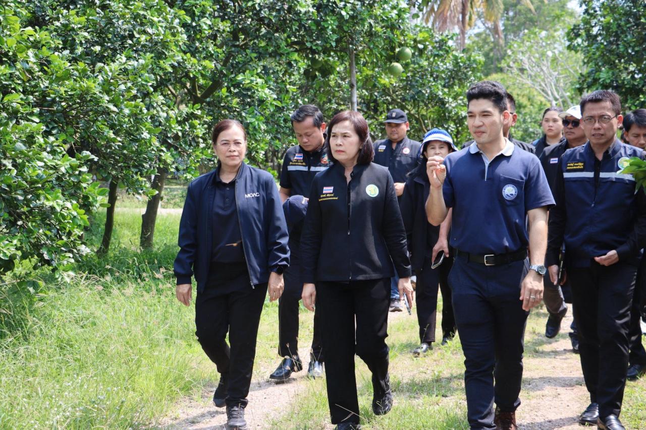 ภาพประกอบที่ 6