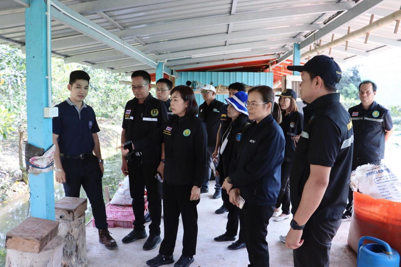 ภาพประกอบที่ 7