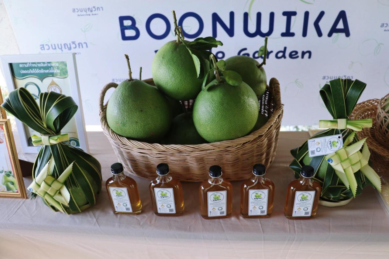 ภาพประกอบที่ 8