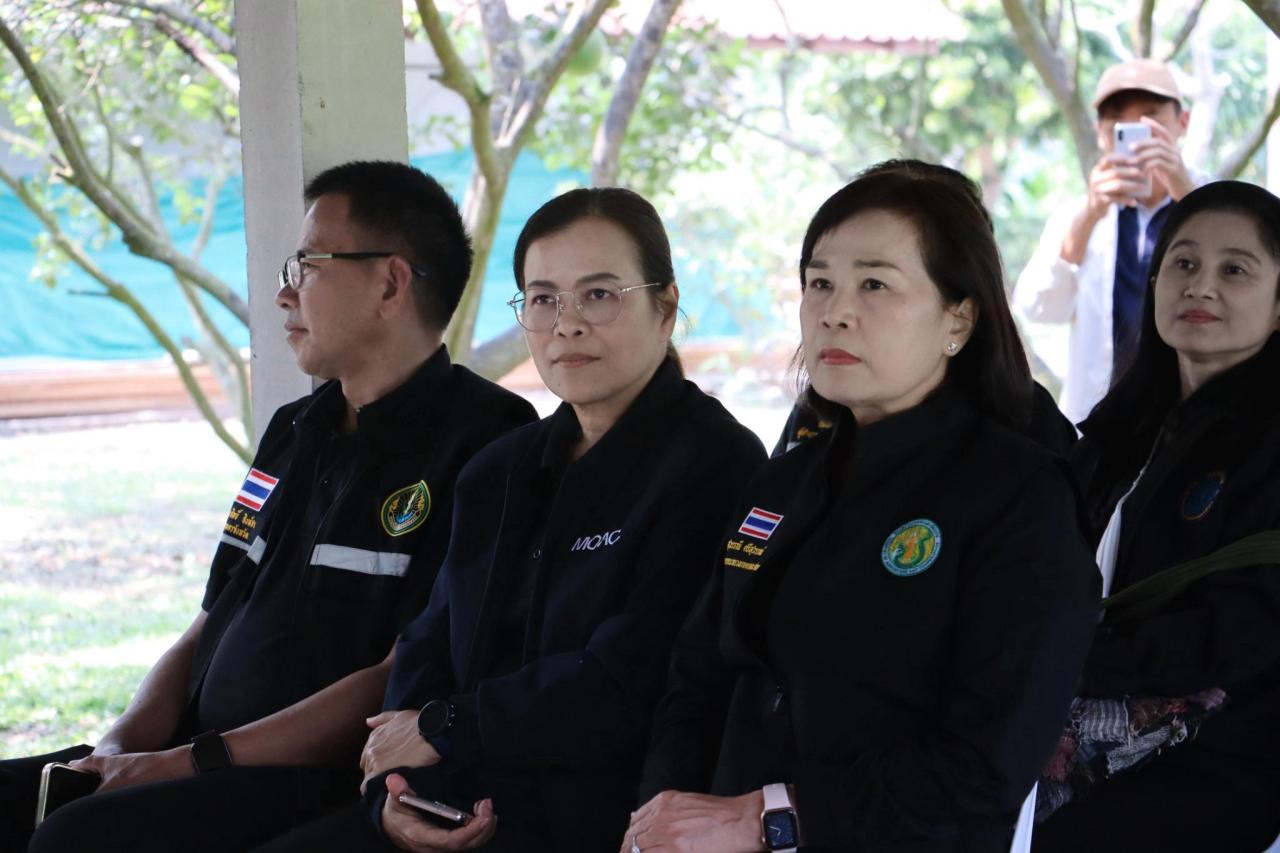 ภาพประกอบที่ 10