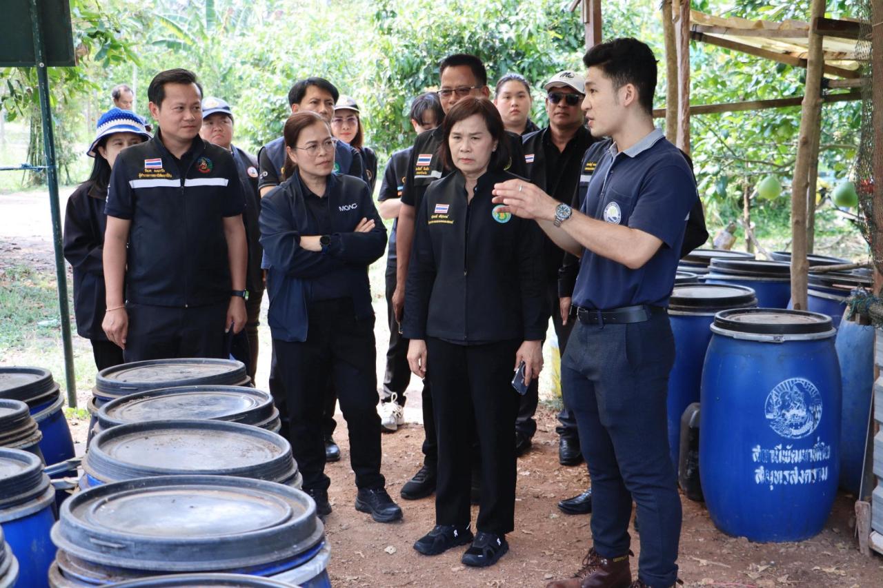 ภาพประกอบที่ 11