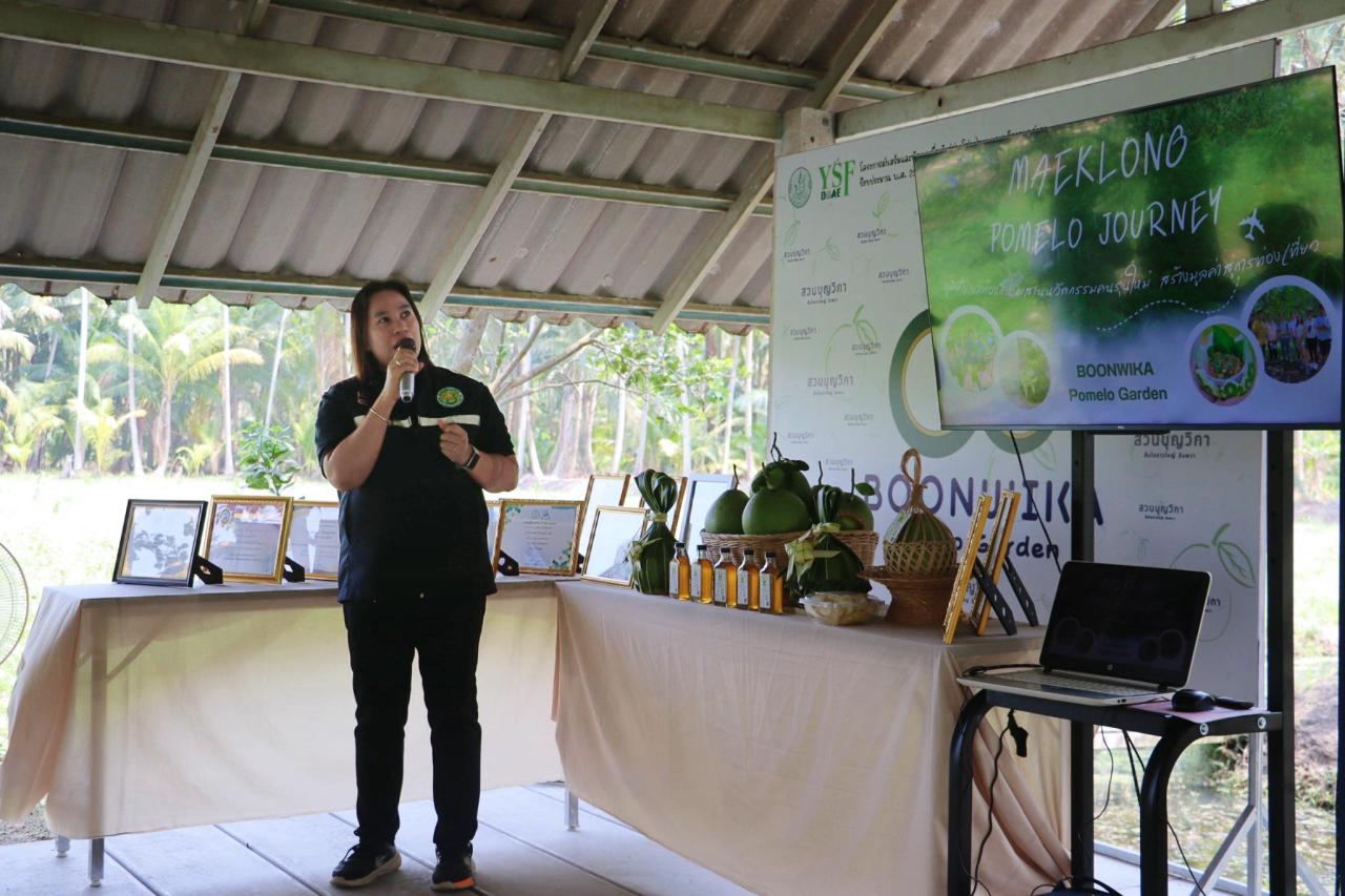 ภาพประกอบที่ 12