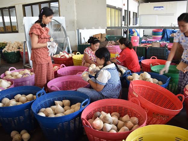 ภาพประกอบที่ 3