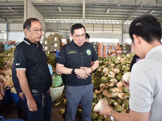 ภาพประกอบที่ 5