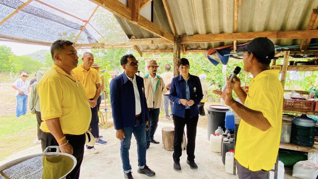 ภาพประกอบที่ 0