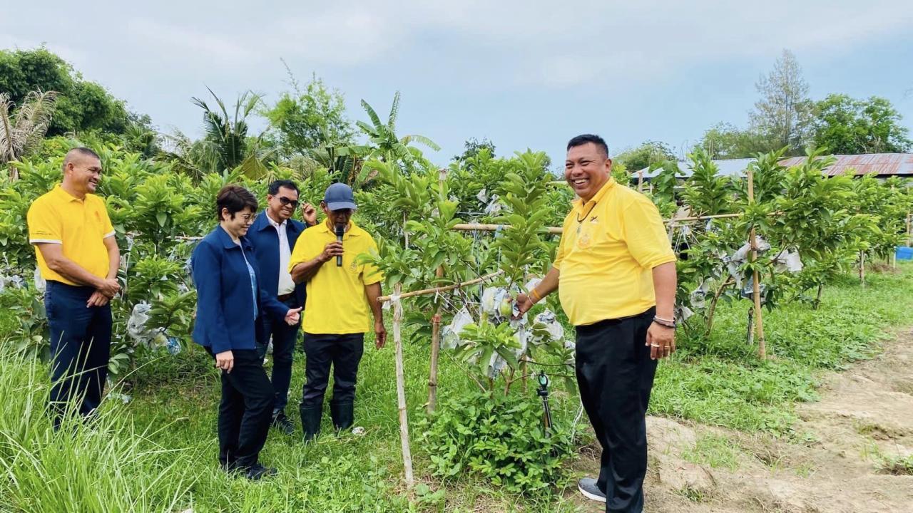 ภาพประกอบที่ 1