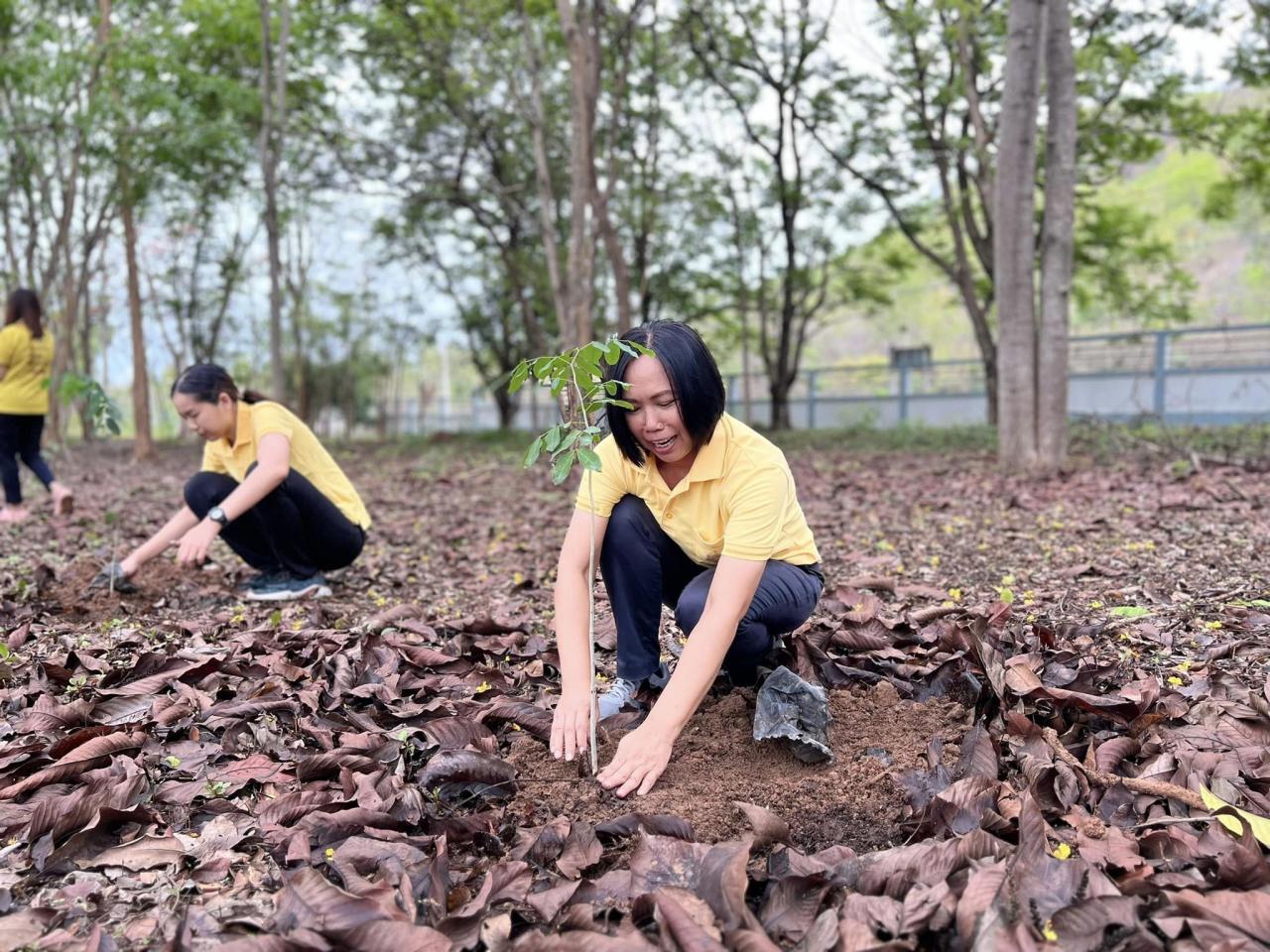 ภาพประกอบที่ 2