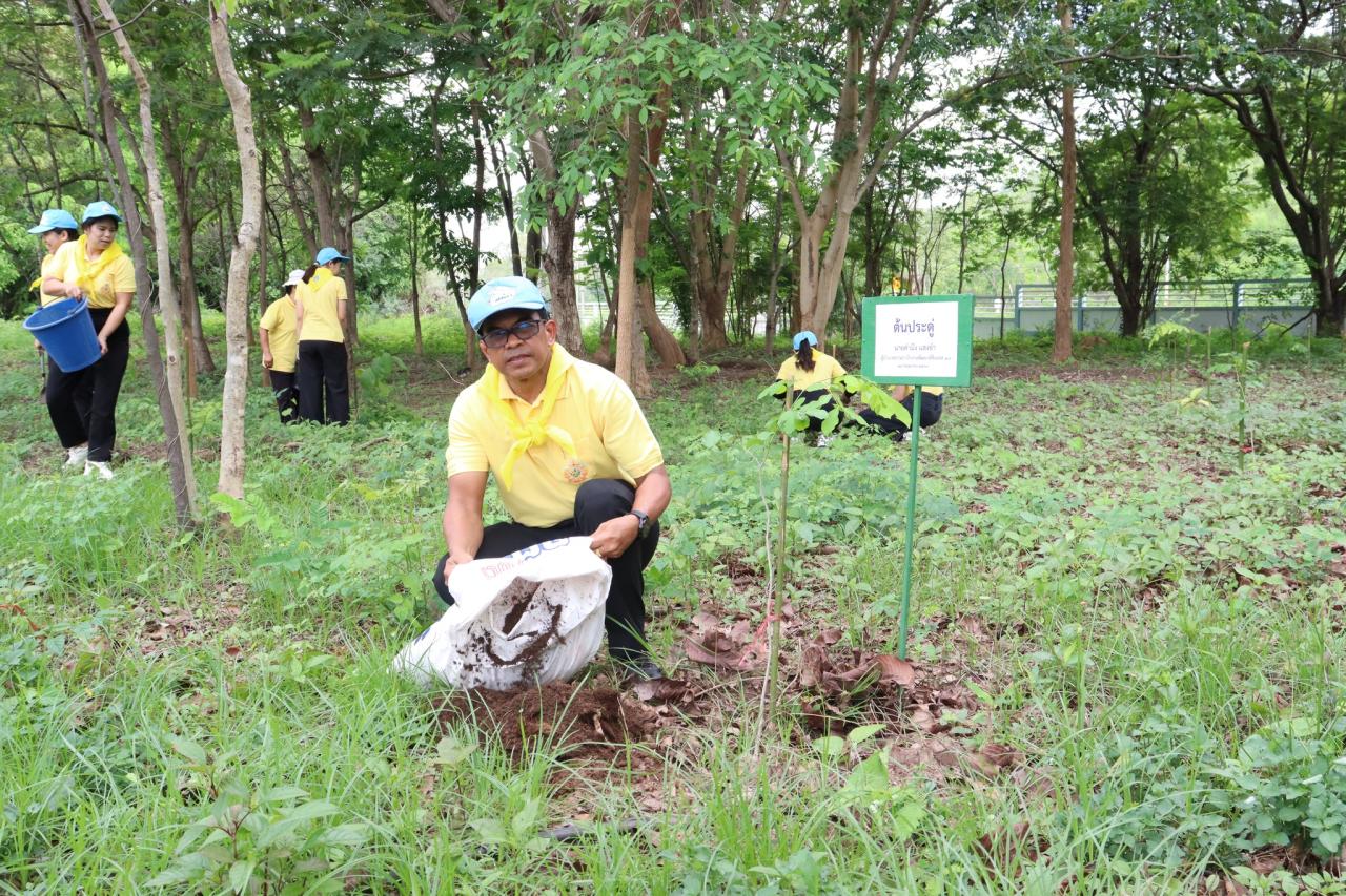 ภาพประกอบที่ 1