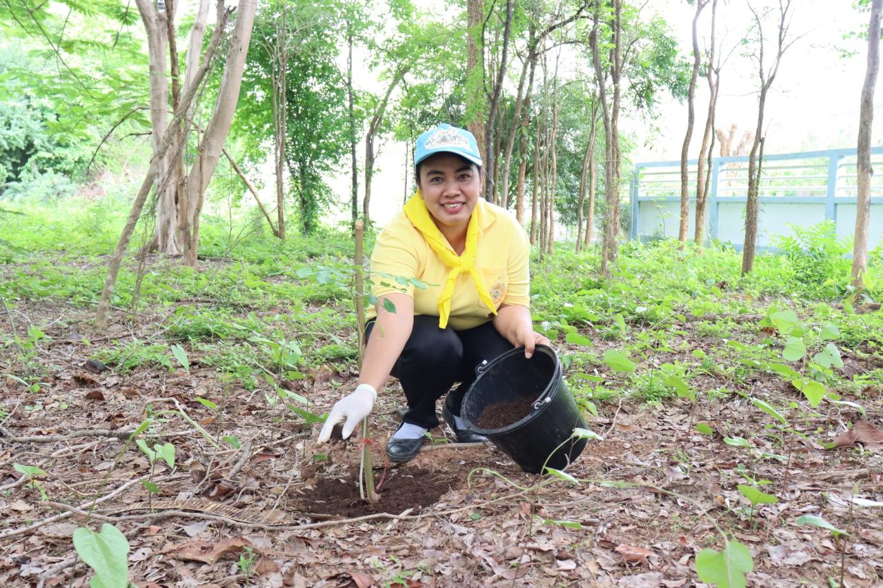 ภาพประกอบที่ 3