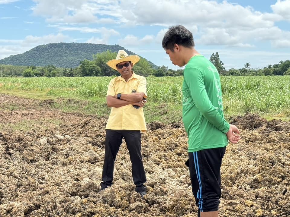 ภาพประกอบที่ 1