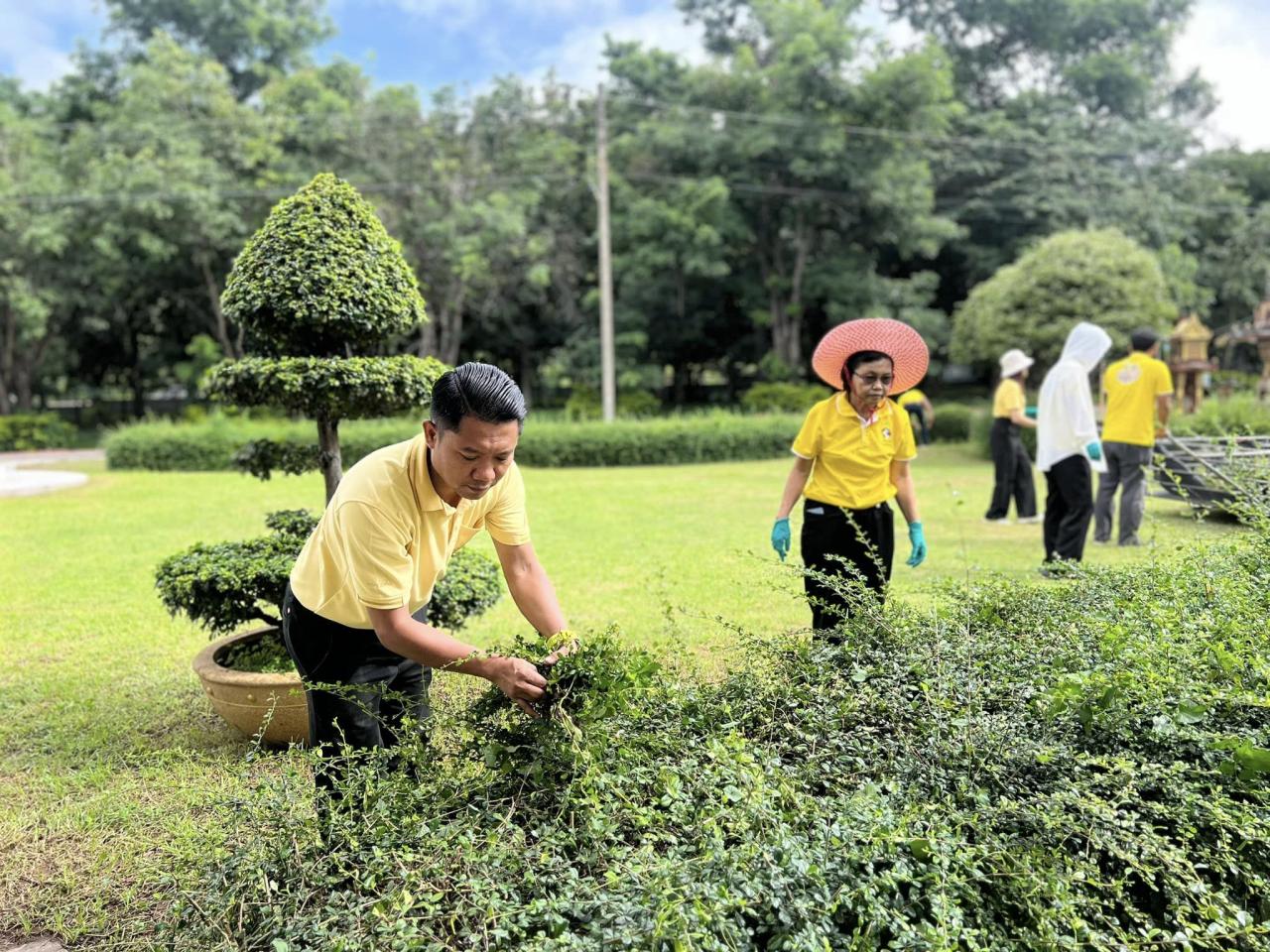 ภาพประกอบที่ 1