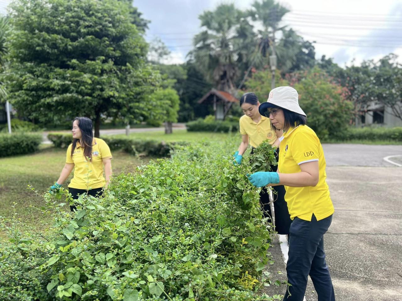 ภาพประกอบที่ 2