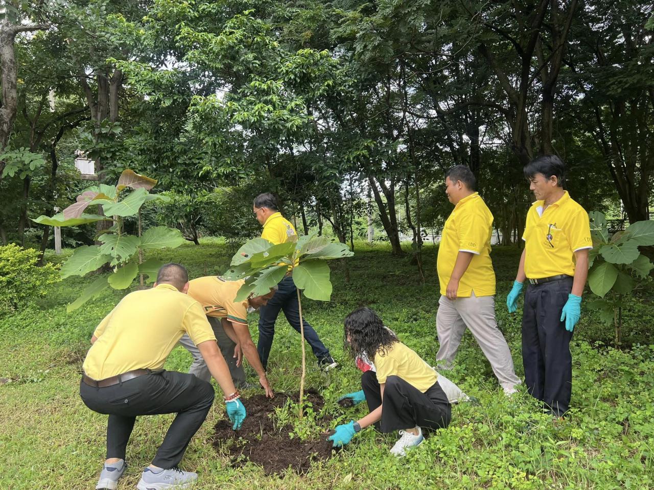 ภาพประกอบที่ 8