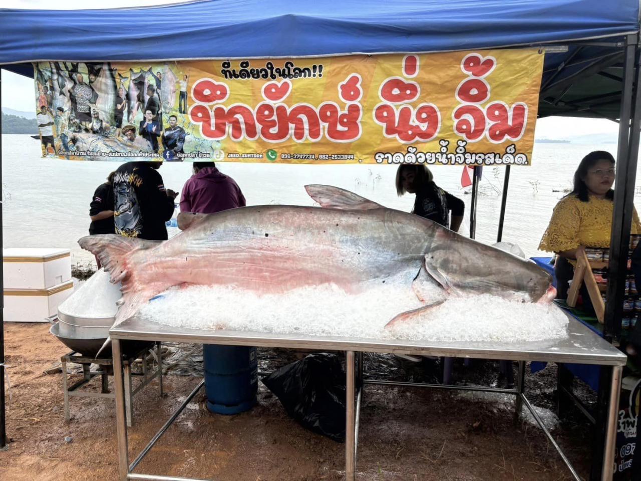 ภาพประกอบที่ 5