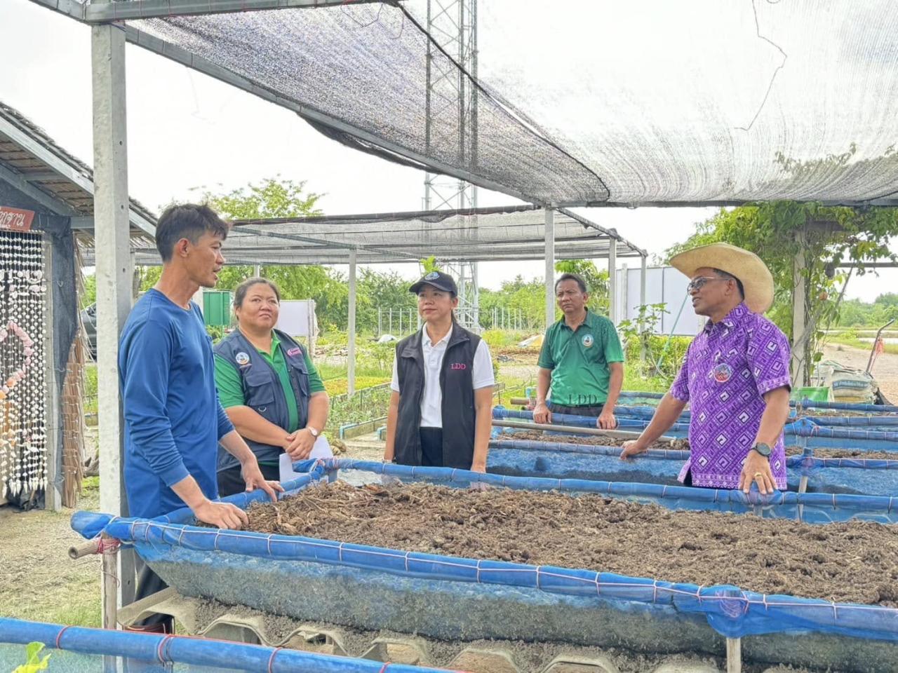 ภาพประกอบที่ 4