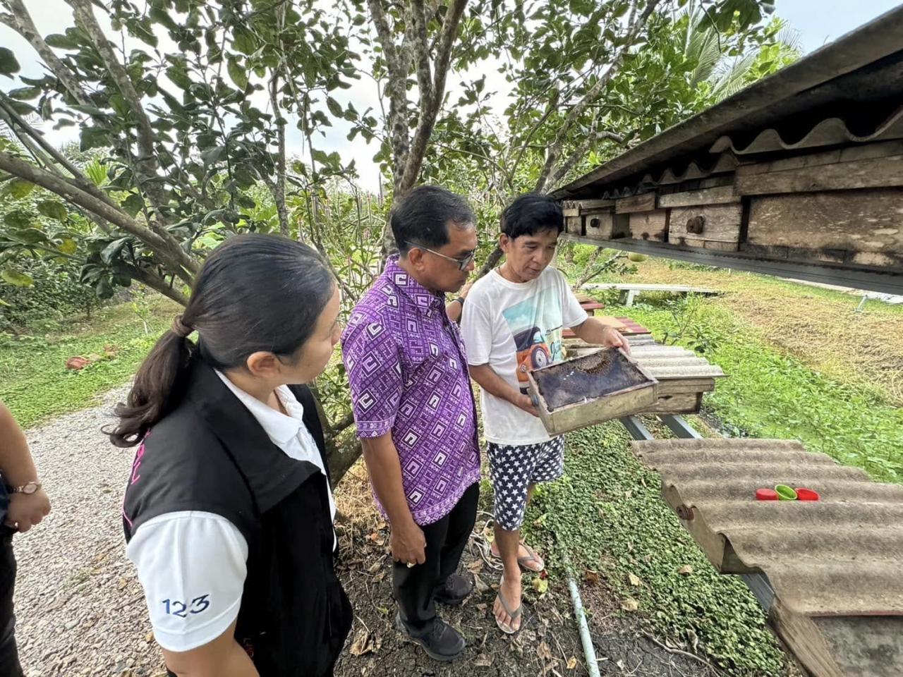 ภาพประกอบที่ 8