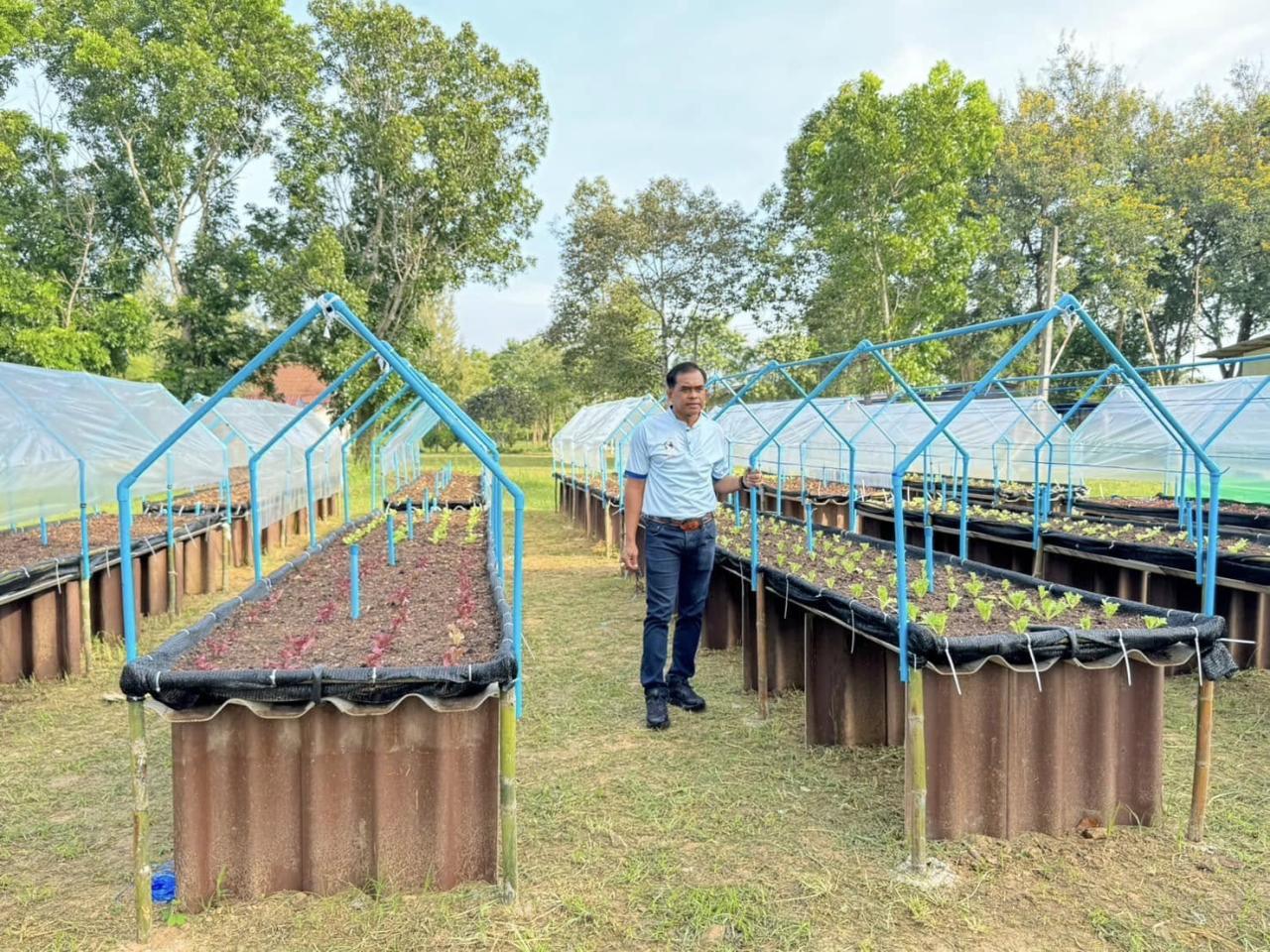 ภาพประกอบที่ 2