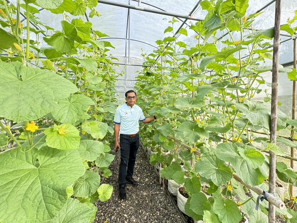 ภาพประกอบที่ 3