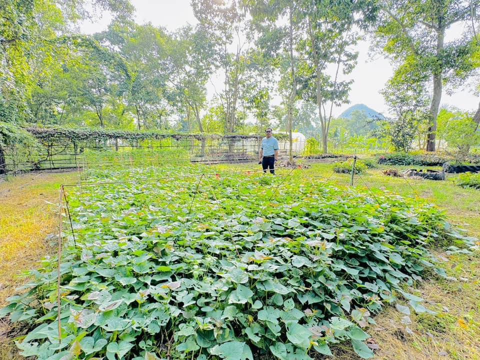 ภาพประกอบที่ 5