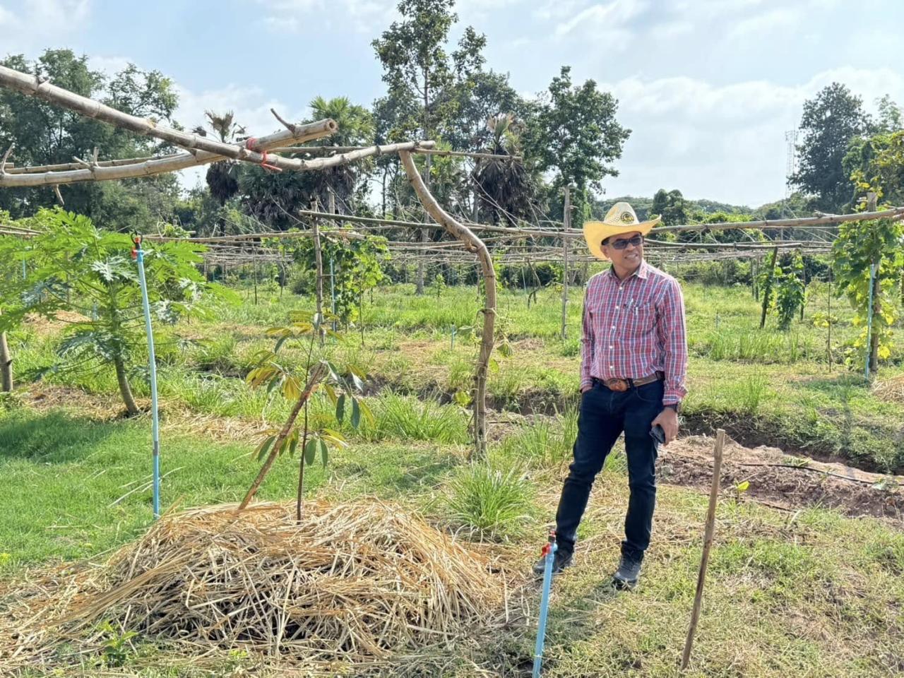 ภาพประกอบที่ 6