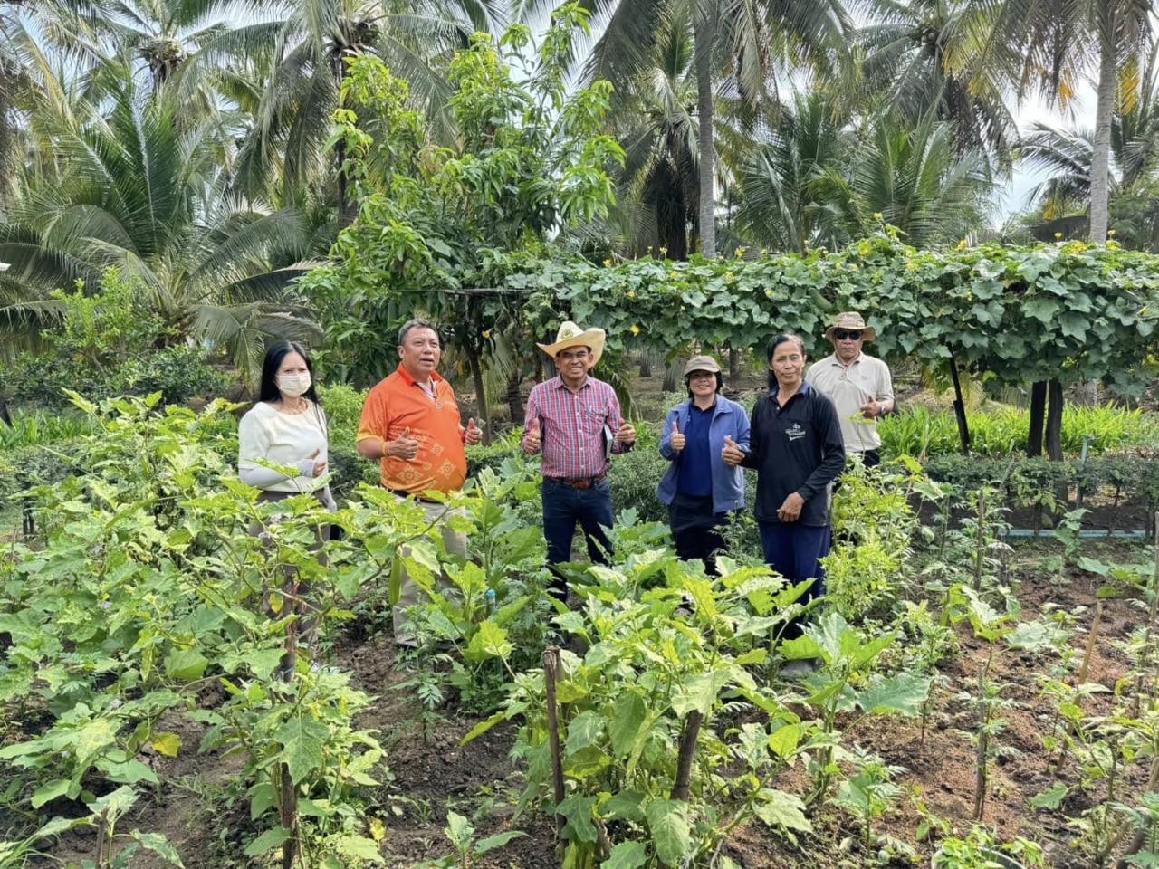 ภาพประกอบที่ 13