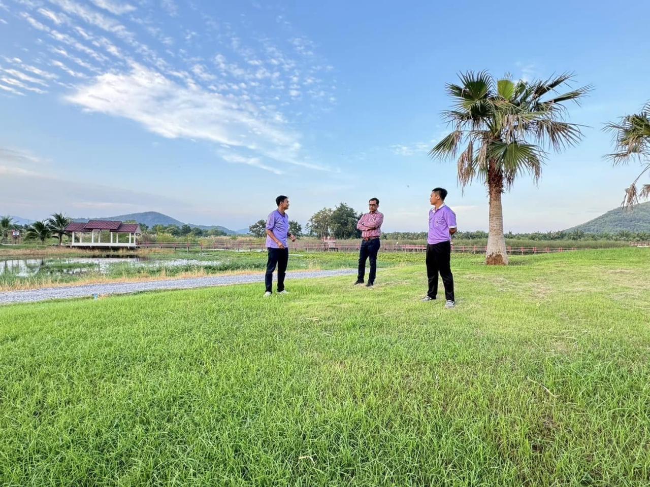 ภาพประกอบที่ 1