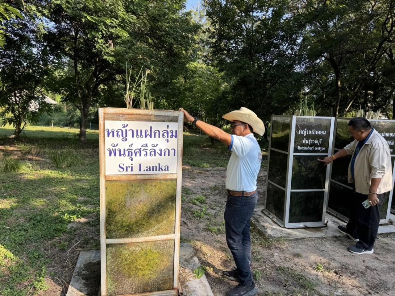 ภาพประกอบที่ 2