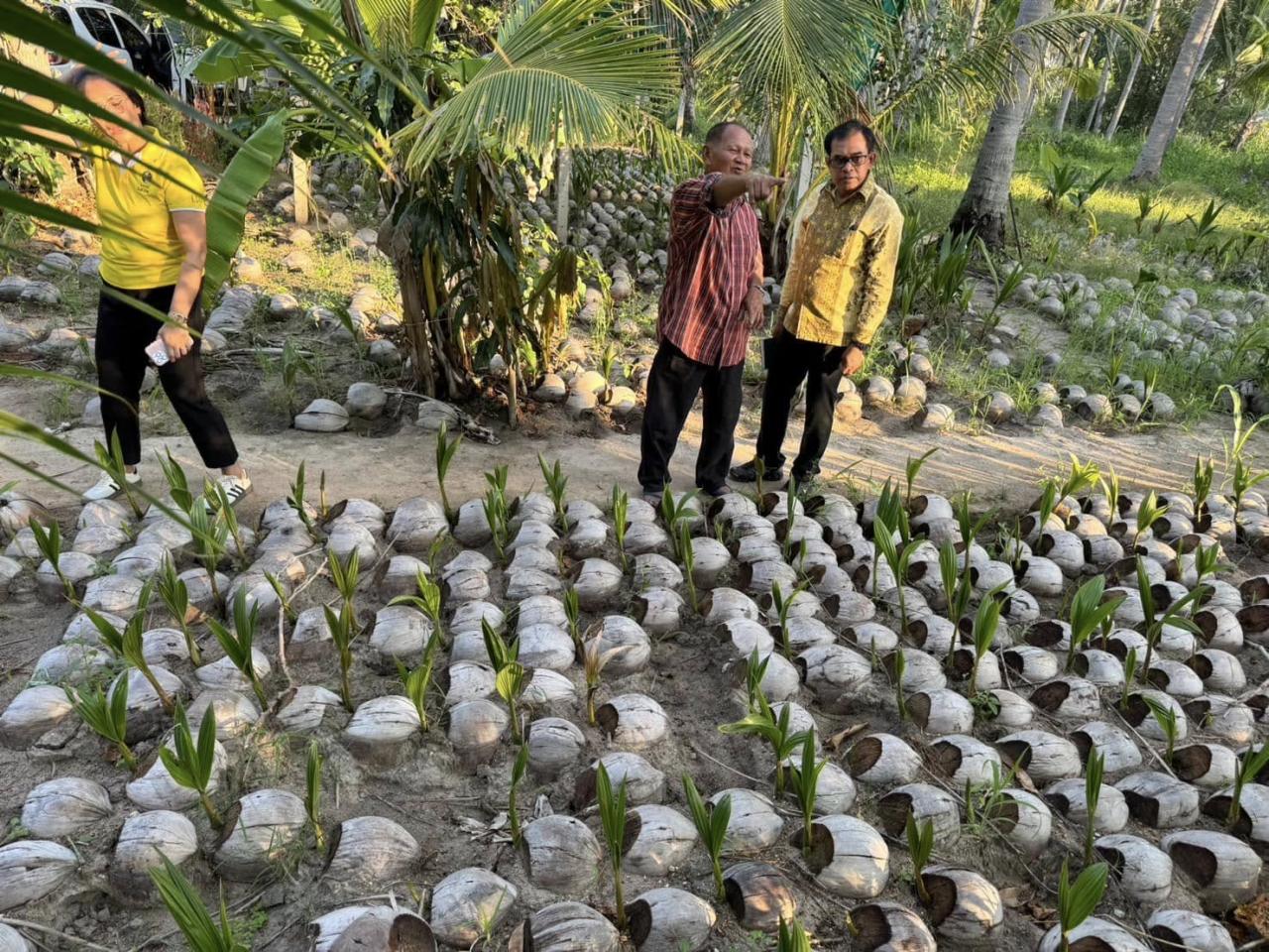 ภาพประกอบที่ 1