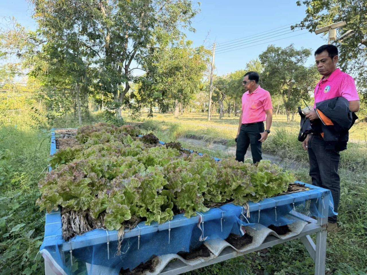 ภาพประกอบที่ 5