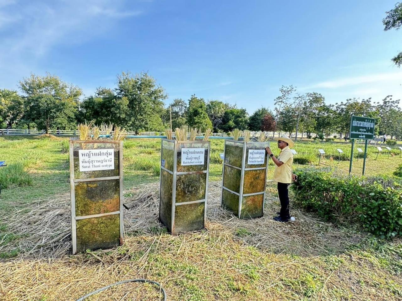 ภาพประกอบที่ 3