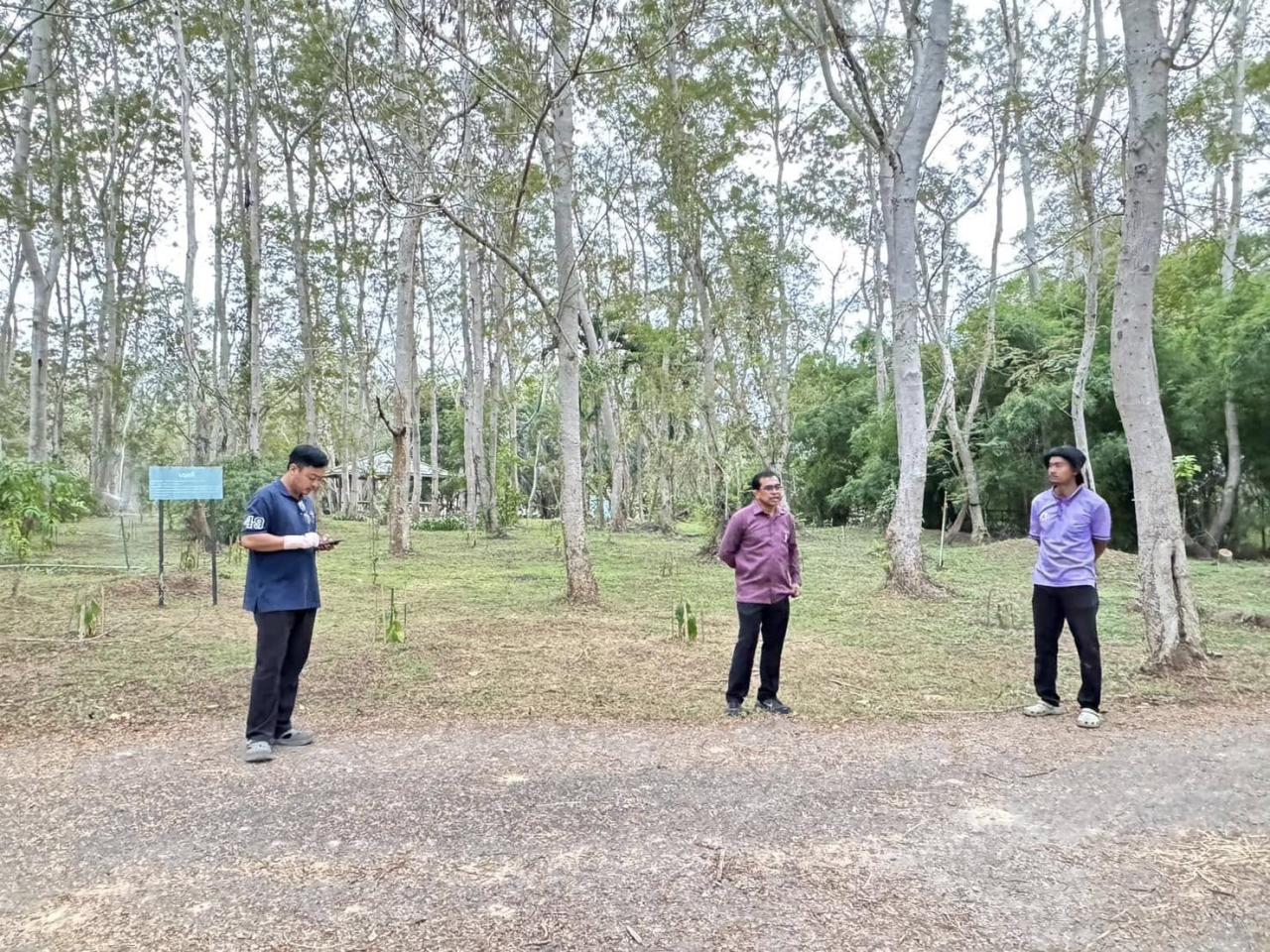 ภาพประกอบที่ 5