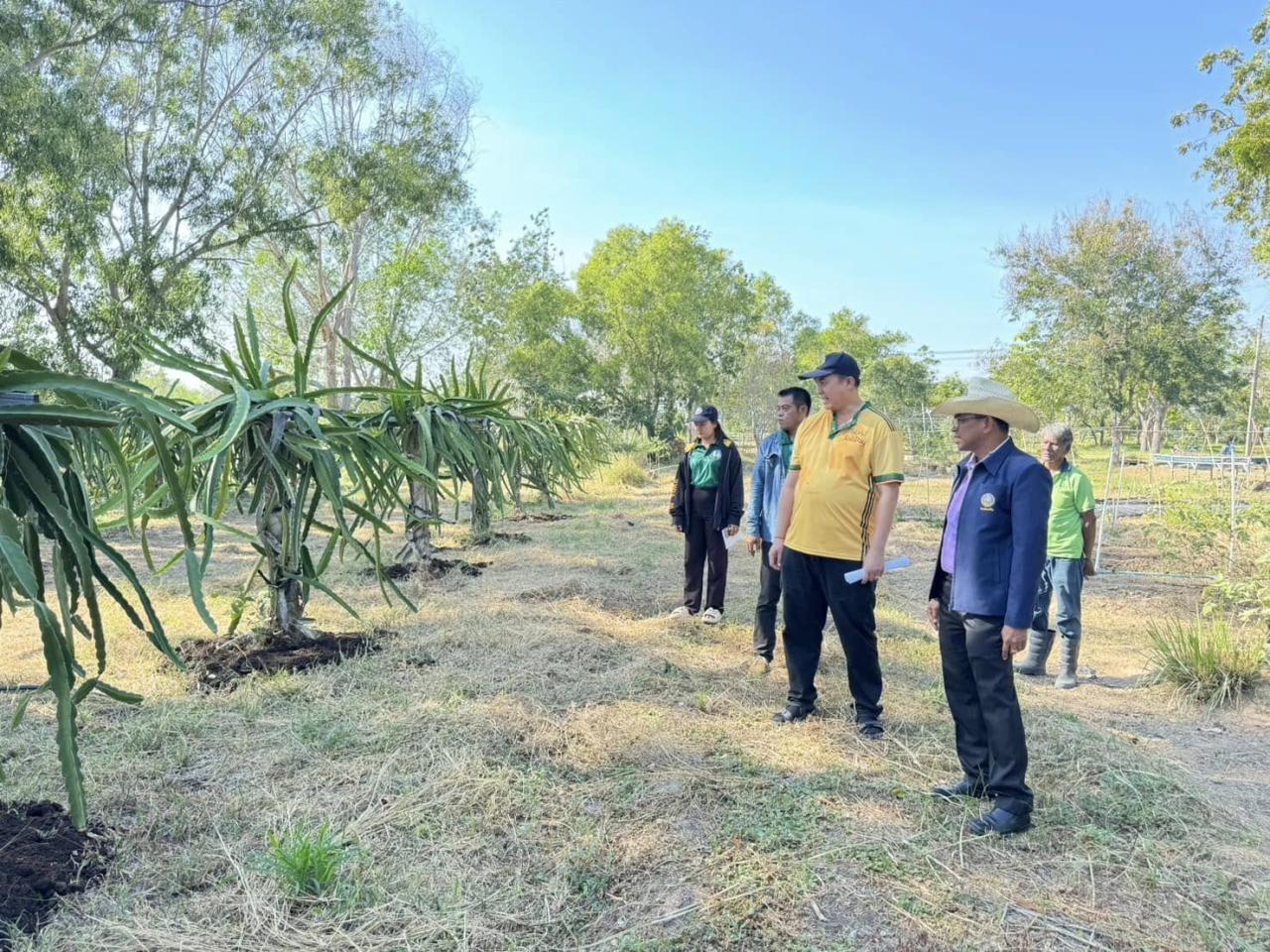 ภาพประกอบที่ 1